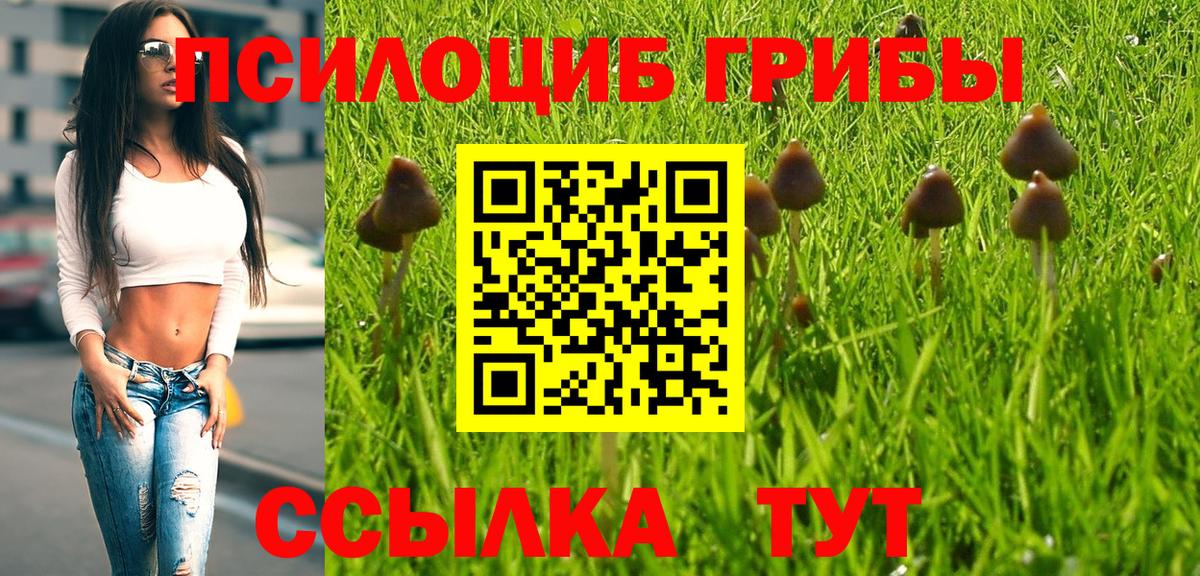 купить наркотик  Псилоцибиновые грибы Magic Shrooms  Вход с VPN  Энгельс  Галлюциногенные грибы мицелий 